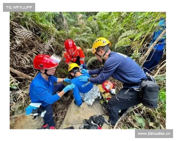 少年踏入远古密林追寻神兽传说揭开尘封千年的森林秘境